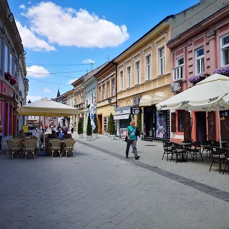 Filinhome Dunavska Studio 2 Novi Sad Exterior foto